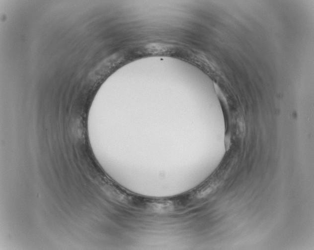 X0000070400317200607072250