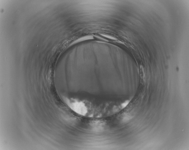 X0000070400319200607072250