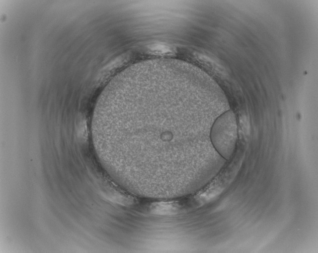 X0000070400320200607072250