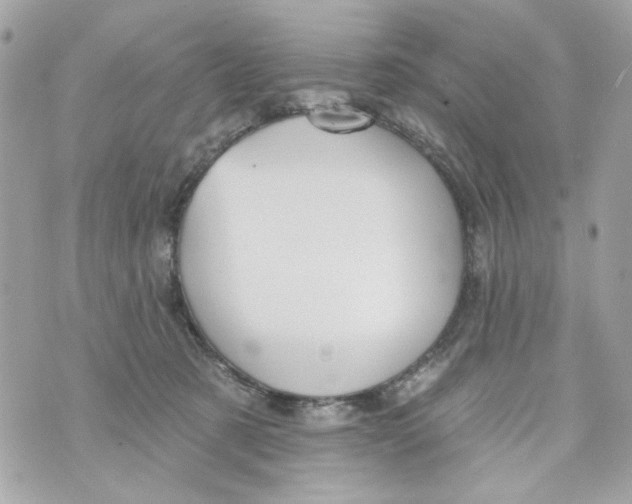 X0000070400321200607072250