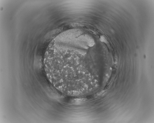 X0000070400323200607072250