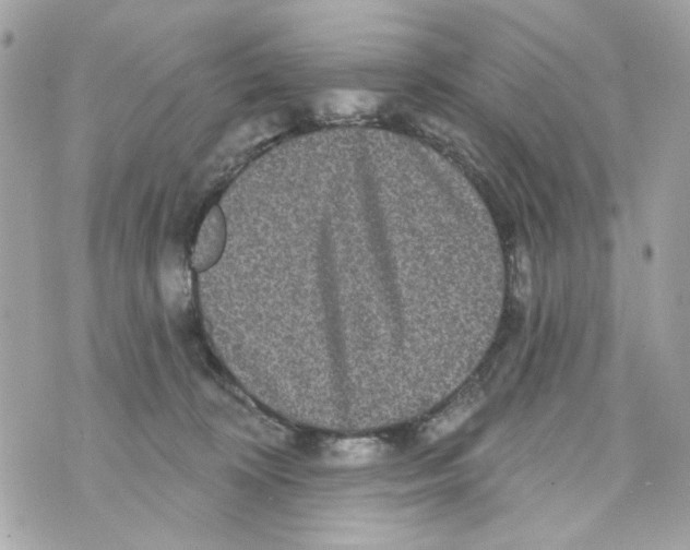 X0000070400324200607072250