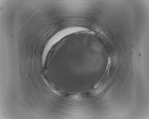 X0000070400325200607072250