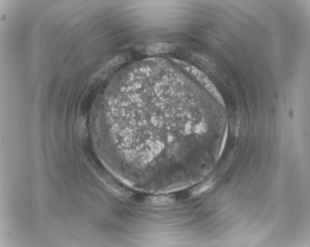 X0000070400327200607072250