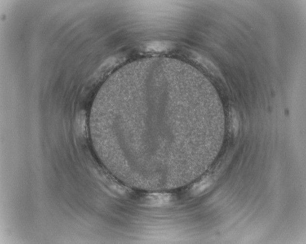 X0000070400328200607072250