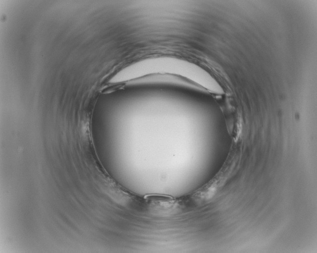 X0000070400329200607072250