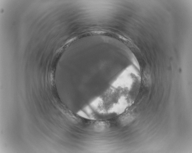 X0000070400330200607072250