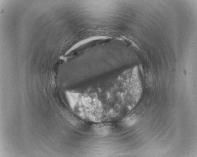 X0000070400331200607072250