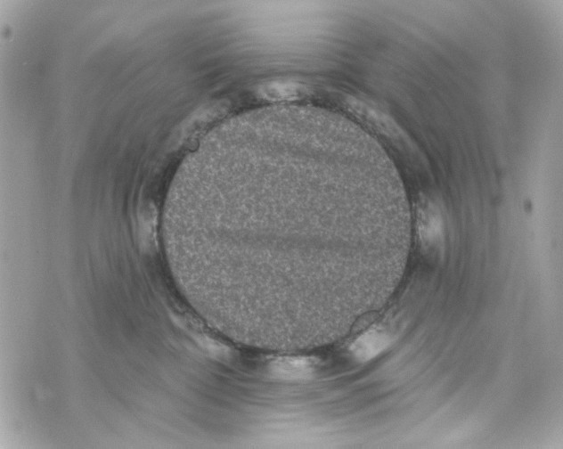 X0000070400332200607072250