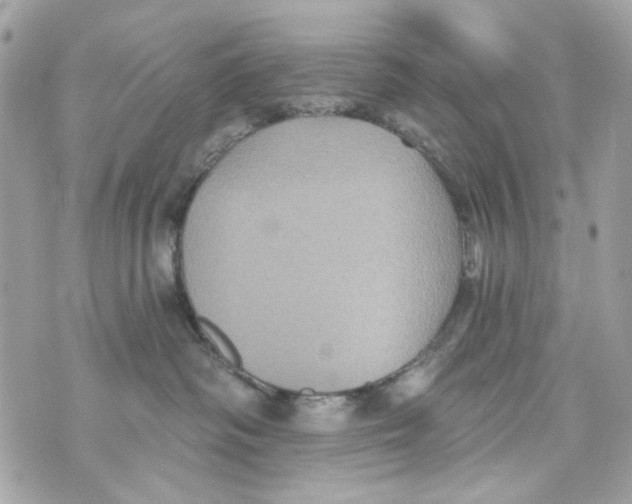 X0000070400334200607072250