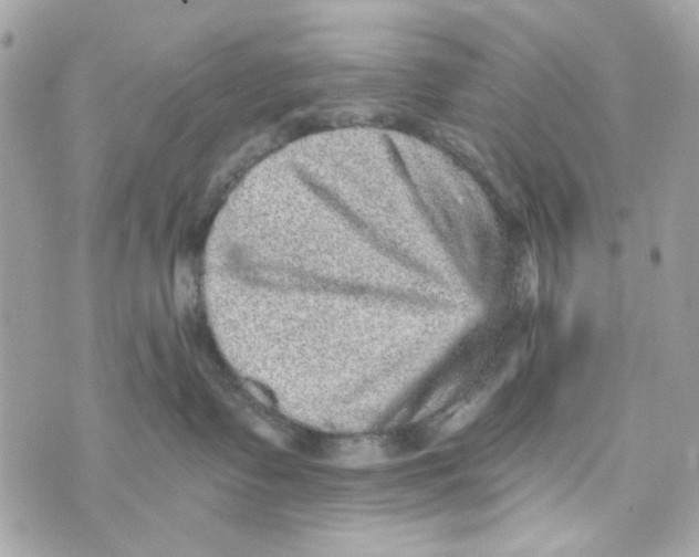 X0000070400335200607072250