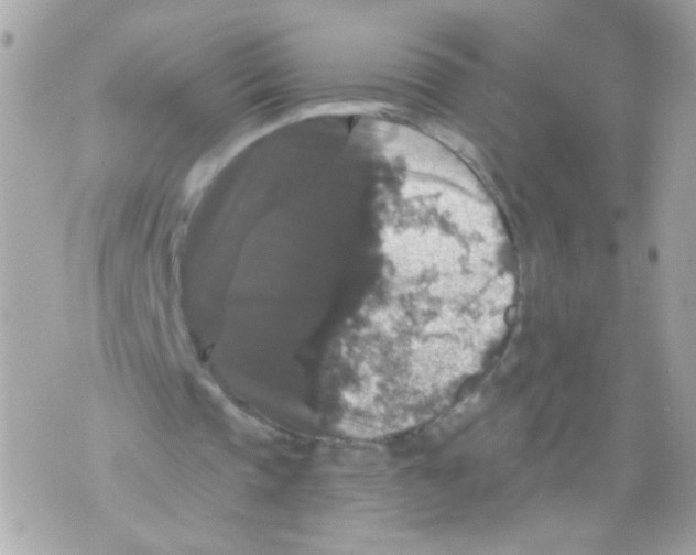 X0000070400337200607072249