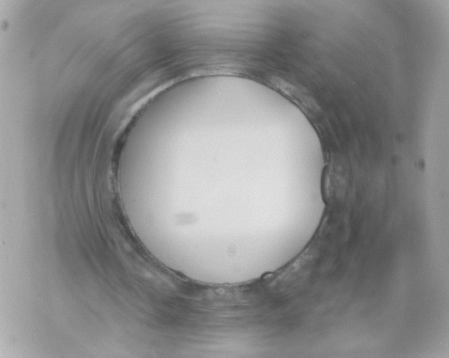 X0000070400338200607072249