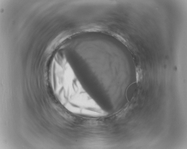 X0000070400339200607072249