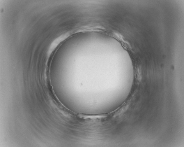 X0000070400340200607072249