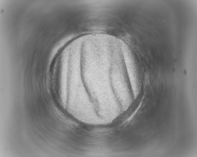 X0000070400342200607072249