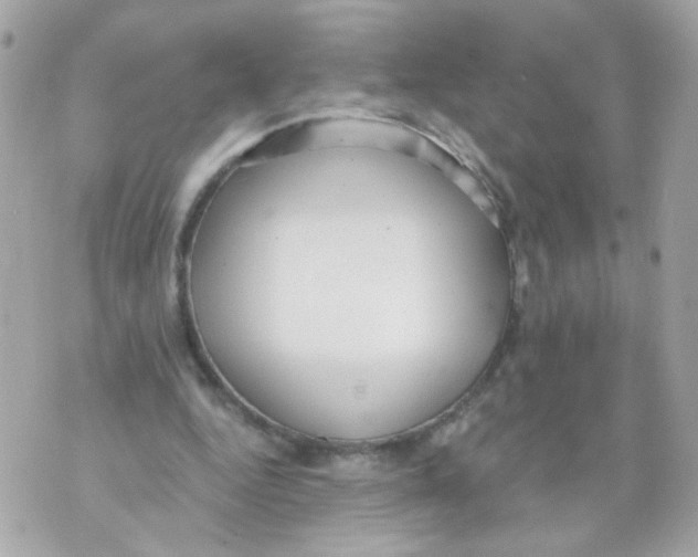 X0000070400344200607072249