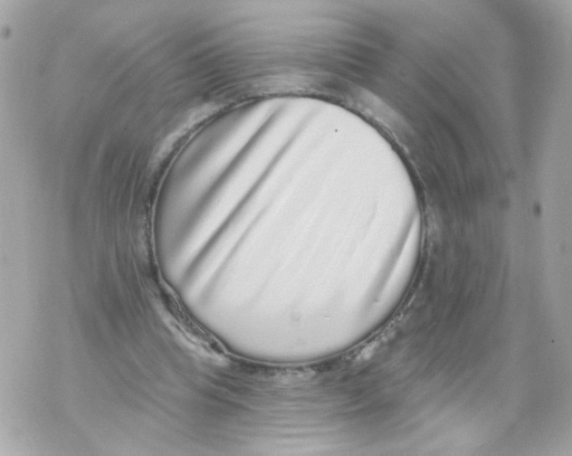 X0000070400345200607072250