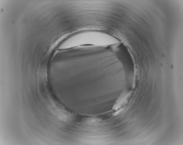 X0000070400348200607072250