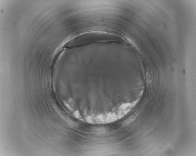 X0000070400349200607072250