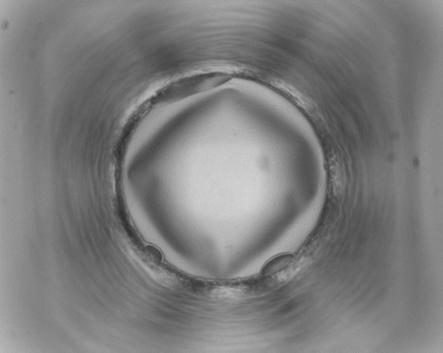 X0000070400350200607072250