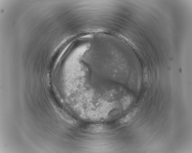 X0000070400351200607072250