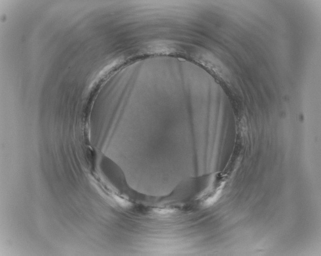 X0000070400352200607072250