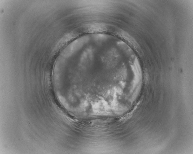 X0000070400353200607072250