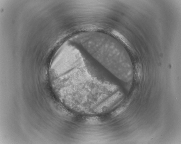 X0000070400355200607072250