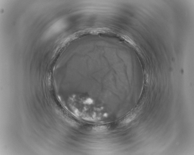 X0000070400357200607072250