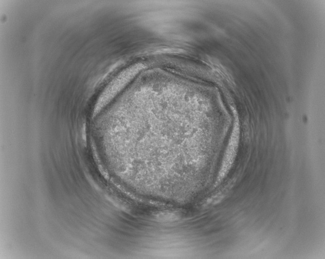 X0000070400358200607072250