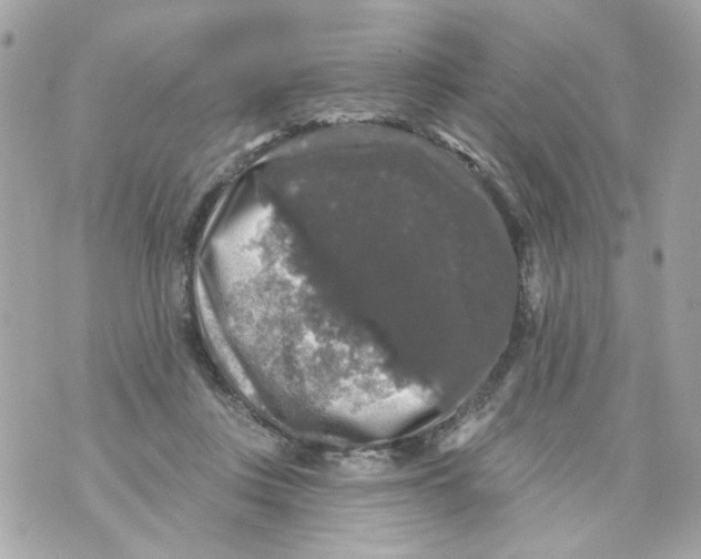 X0000070400359200607072250