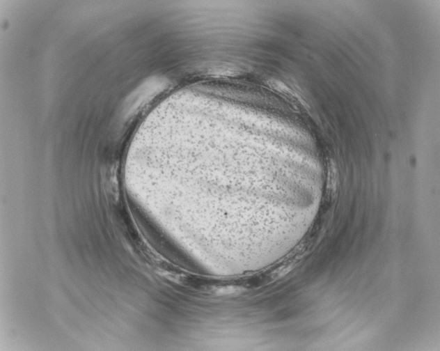 X0000070400360200607072250