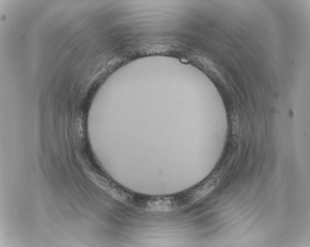 X0000070400362200607072250