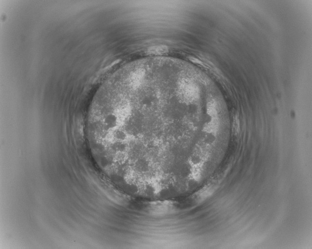 X0000070400363200607072250