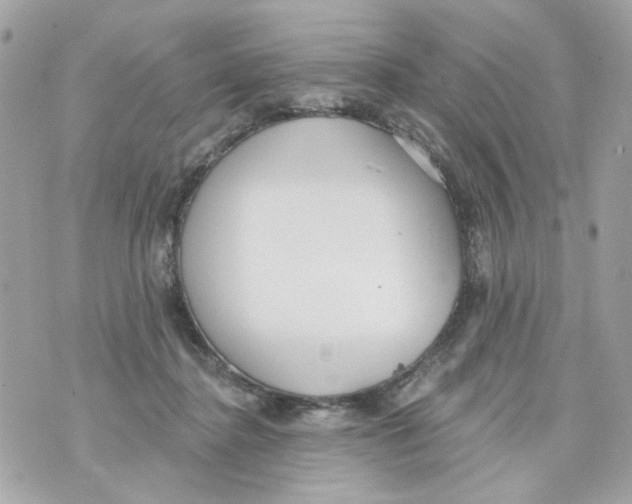 X0000070400364200607072250