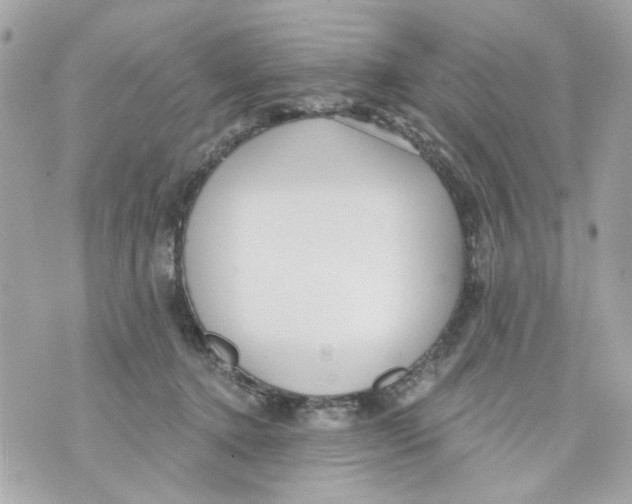 X0000070400368200607072250