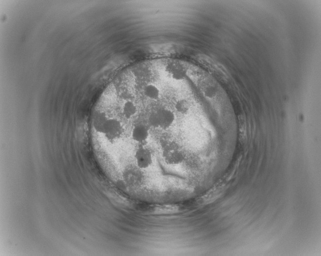 X0000070400369200607072250