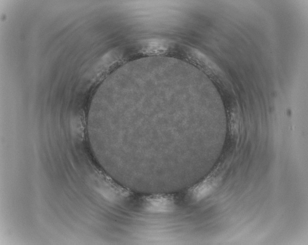 X0000070400370200607072250