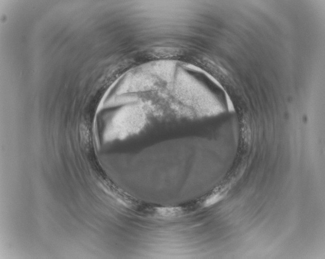 X0000070400371200607072250