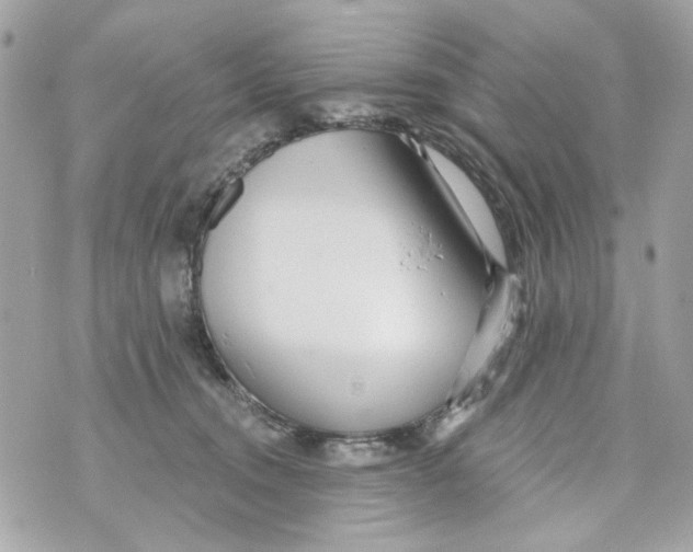 X0000070400372200607072250