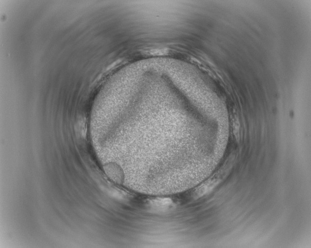 X0000070400374200607072250