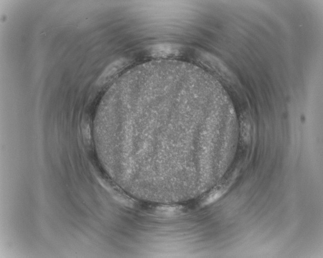 X0000070400375200607072250