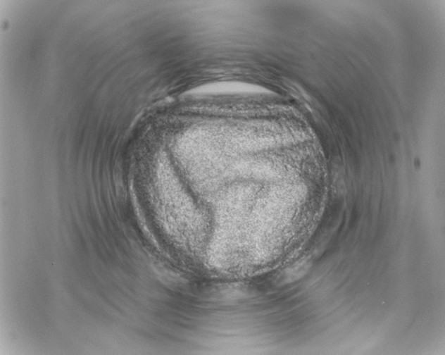 X0000070400377200607072250