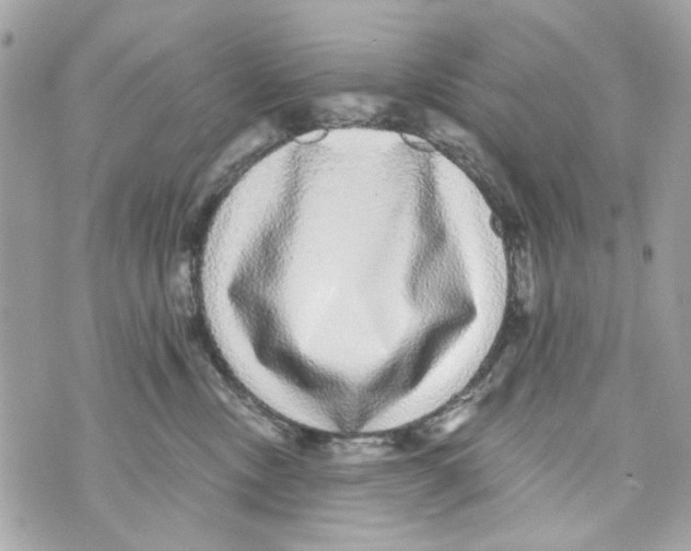 X0000070400378200607072250