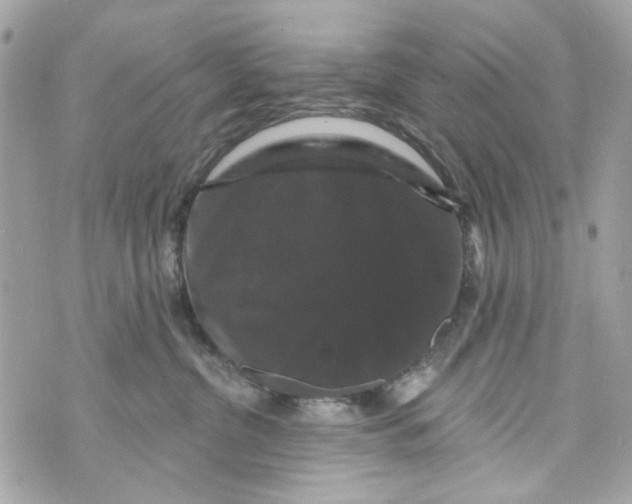 X0000070400380200607072250