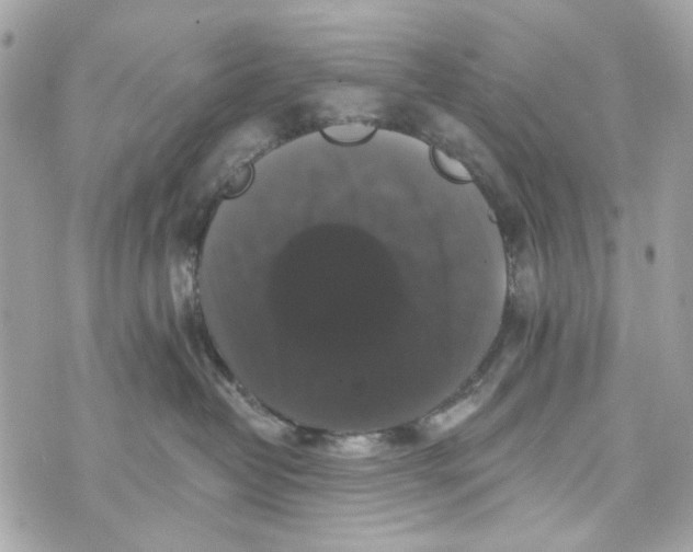 X0000070400382200607072250