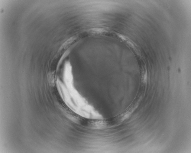 X0000070400383200607072250