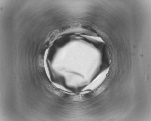 X0000070400384200607072250