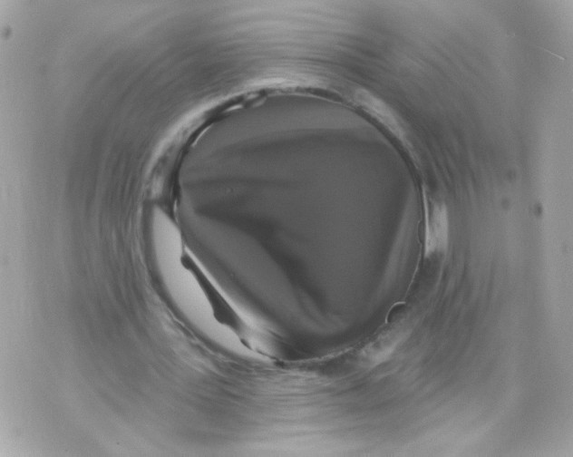 X0000070400387200607072249